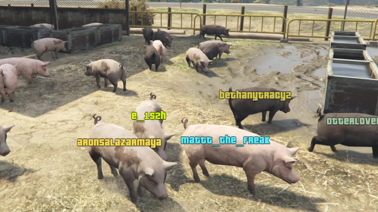 TikTok LIVE | TikTok