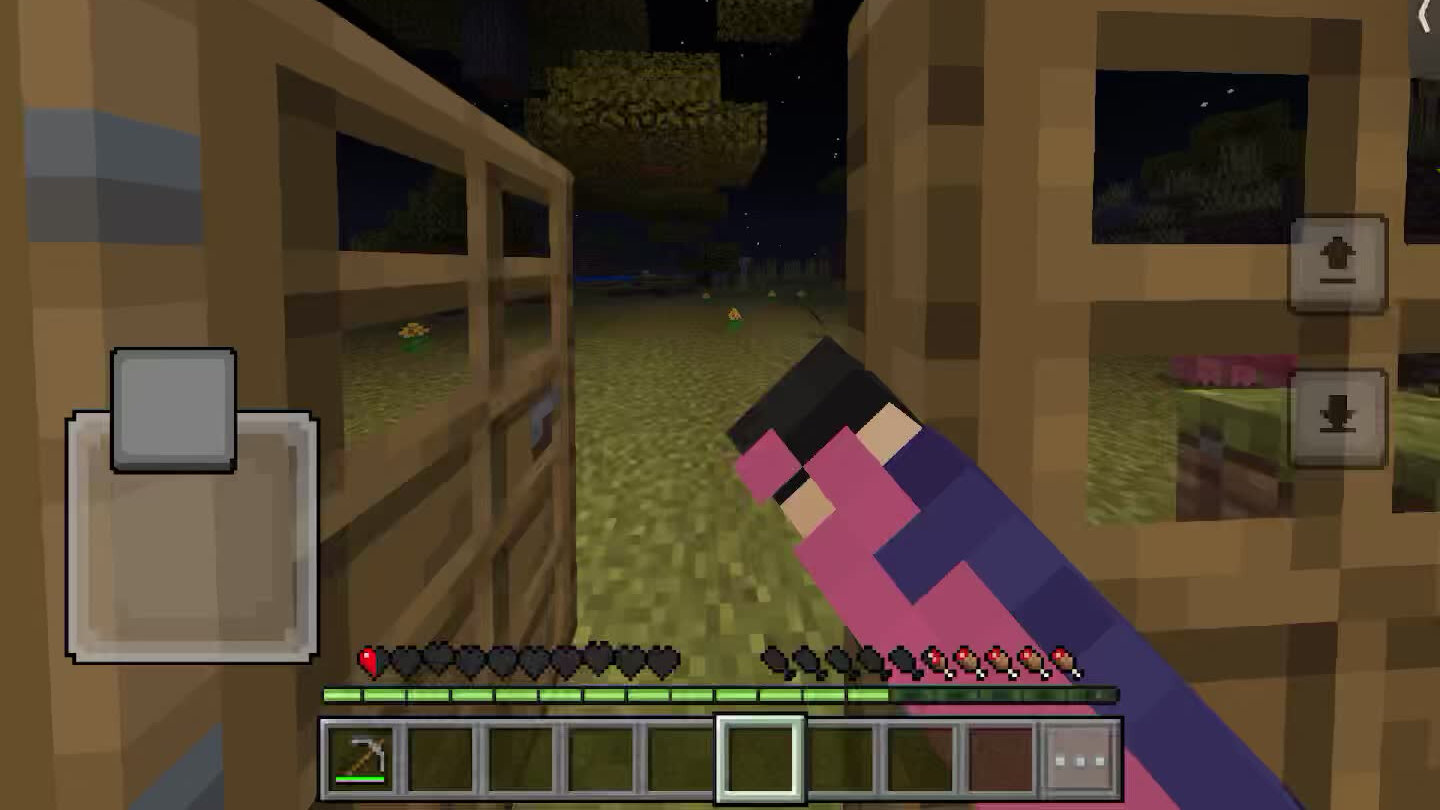 TikTok LIVE | TikTok